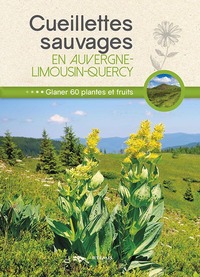 Cueillettes sauvages en Auvergne-Limousin-Quercy