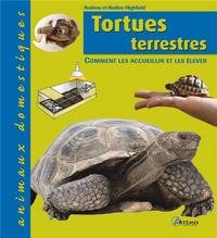 Tortues terrestres