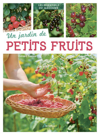 Un jardin de petits fruits