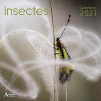 Calendrier Insectes 2027