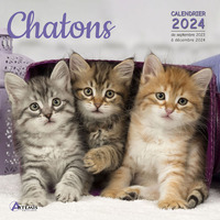 Calendrier Chatons 2024