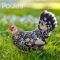 Calendrier Poules 2027