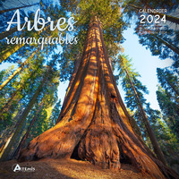Calendrier Arbres remarquables 2024