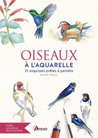 OISEAUX A L'AQUARELLE