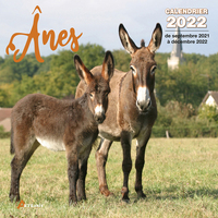 Calendrier Ânes 2022