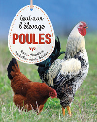 Poules, tout savoir sur l'élevage