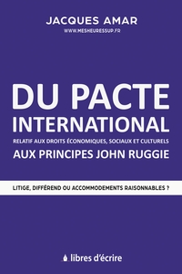 DU PACTE INTERNATIONAL RELATIF AUX DROITS ECONOMIQUES, SOCIAUX & CULTURELS AUX PRINCIPES JOHN RUGGIE