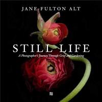 Jane Fulton Alt Still Life /anglais