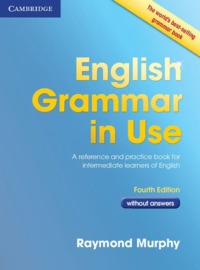 ENGLISH GRAMMAR IN USE WITHOUT ANSWERS