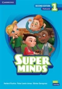 SUPER MINDS LEVEL 1 FLASHCARDS BRITISH ENGLISH