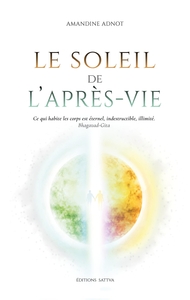 LE SOLEIL DE L'APRES-VIE