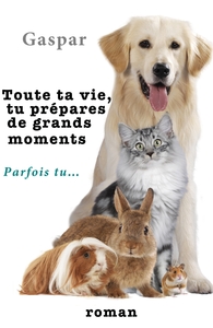 TOUTE TA VIE, TU PREPARES DE GRANDS MOMENTS - PARFOIS TU...