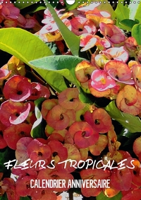 FLEURS TROPICALES / CALENDRIER ANNIVERSAIRE (CALENDRIER MURAL CALENDRIER PERPETUEL DIN A3 VERTICAL)