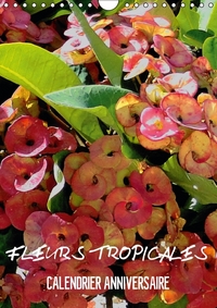 FLEURS TROPICALES / CALENDRIER ANNIVERSAIRE (CALENDRIER MURAL CALENDRIER PERPETUEL DIN A4 VERTICAL)