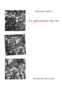 LE PERIMETRE DE VIE