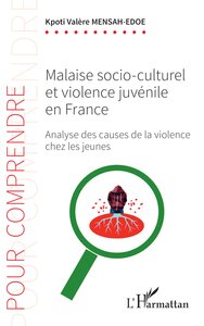 Malaise socio-culturel et violence juvénile en France