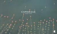 CAMARGUE - FOCUS - PHOTOS DE THIERRY VEZON