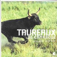 TAUREAUX DE CAMARGUE