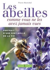 L'abeille messagère de vie