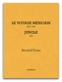 Le voyage mexicain-Jungle