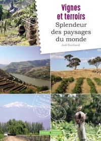 Vignes et splendeurs des paysages