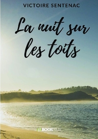 LA NUIT SUR LES TOITS