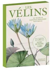 CARTES VELINS