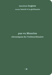 Pas vu Maurice. Chroniques de l'infraordinaire