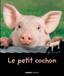 Le petit cochon