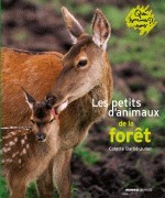 LES PETITS D'ANIMAUX DE LA FORET