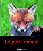 Le petit renard