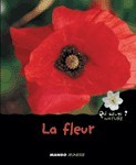 La fleur