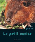 Le petit castor