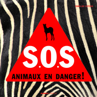 SOS ANIMAUX EN DANGER !