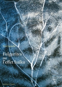 FULGURITES OU L'EFFET HAIKU