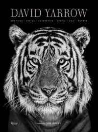 DAVID YARROW PHOTOGRAPHY /ANGLAIS