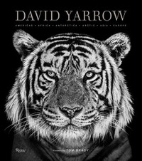 DAVID YARROW PHOTOGRAPHY /ANGLAIS