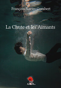 LA CHUTE ET LES AIMANTS