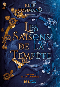 LES SAISONS DE LA TEMPETE (BROCHE)