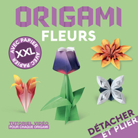 Détacher et Plier XXL ! - Origami fleurs