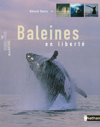 BALEINES EN LIBERTE