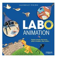 LABO ANIMATION - DESSINS ANIMES, FLIPBOOKS, PATE A MODELER, STOP MOTION...