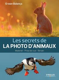 Les secrets de la photo d'animaux