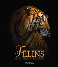 FELINS - ESPECES, MODE DE VIE, COMPORTEMENT