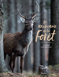 LES ANIMAUX DE LA FORET