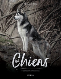 LES CHIENS - FIDELES ET COURAGEUX