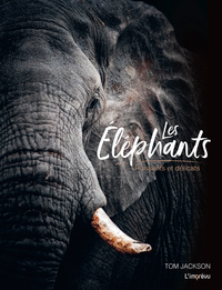 LES ELEPHANTS - PUISSANTS ET DELICATS