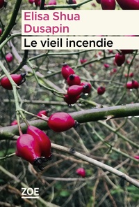 Le vieil incendie
