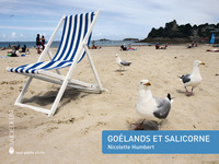 GOELANDS ET SALICORNE