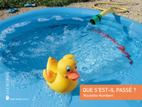 QUE S'EST-IL PASSE ?